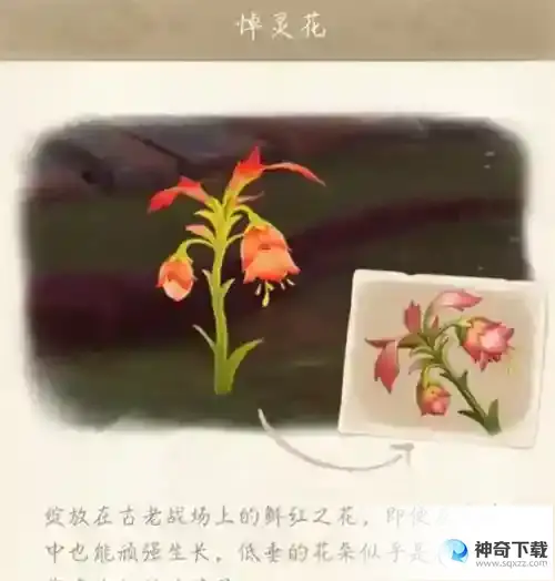 原神悼灵花什么时候刷新