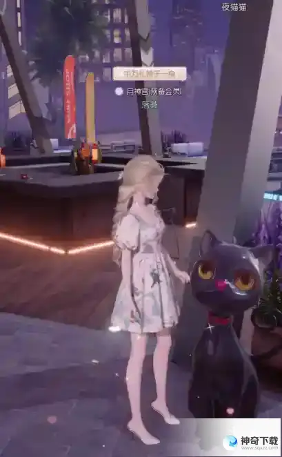 《以闪亮之名》夜猫猫在哪里