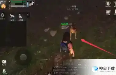 明日之后怎么和狗狗互动