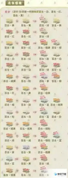 桃源深处有人家怎么种花