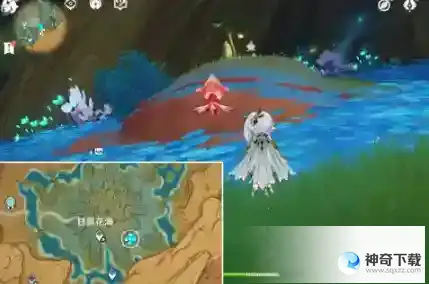 原神净觉花怎么解密