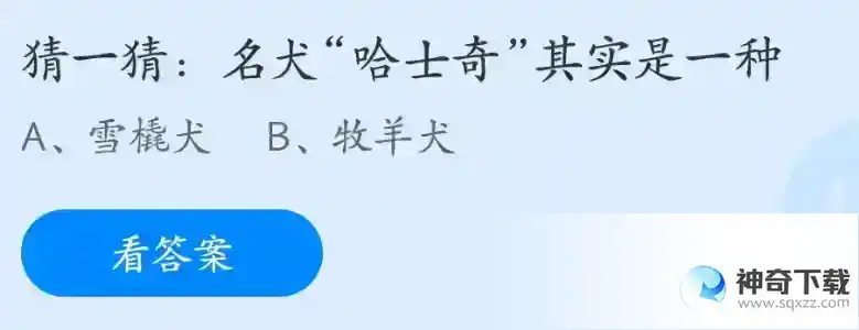 猜一猜名犬哈士奇其实是一种支付宝答题4月14日答案2023蚂蚁庄园