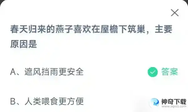春天归来的燕子喜欢在屋檐下筑巢主要原因是2023支付宝蚂蚁庄园