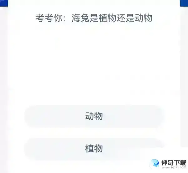 考考你海兔是植物还是动物支付宝神奇海洋4月12日答案2023