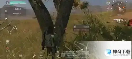 黎明觉醒杜松木在哪获得