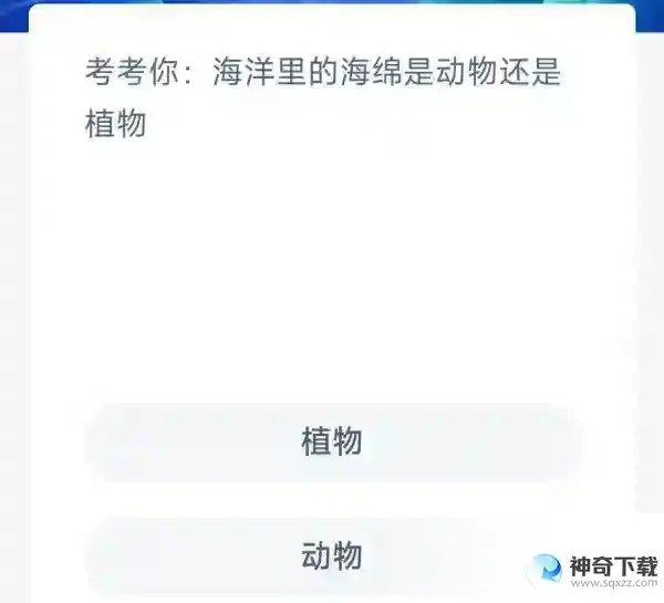 考考你海洋里的海绵是动物还是植物
