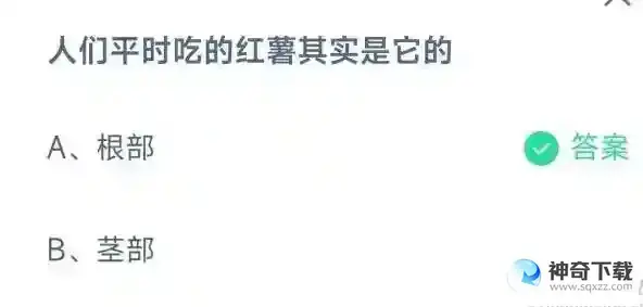 人们平时吃的红薯其实是它的支付宝答题4月8日答案2023蚂蚁庄园