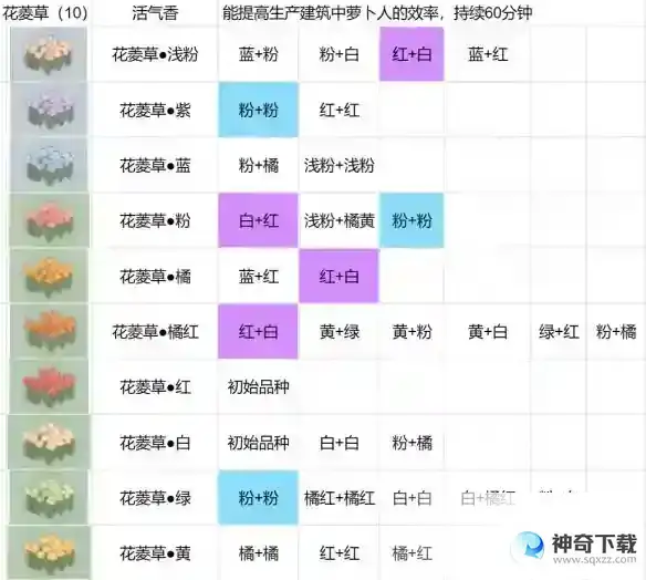 《桃源深处有人家》花圃育种