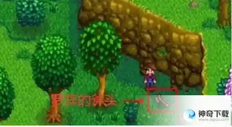星露谷物语罗宾的斧子在哪里