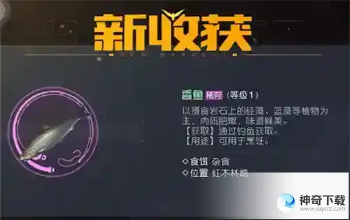 黎明觉醒香鱼在哪钓