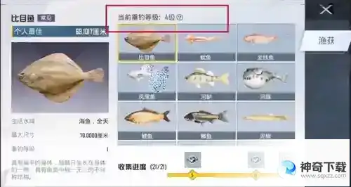 《和平精英》绿洲世界垂钓等级提升