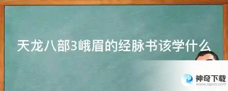 天龙八部3峨眉的经脉书该学什么