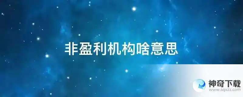 非盈利机构啥意思