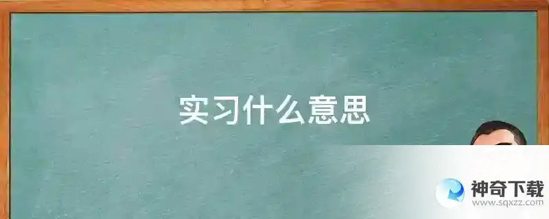 实习什么意思