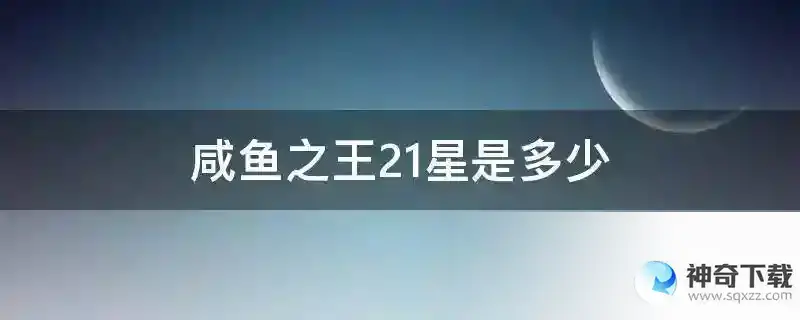 咸鱼之王21星是多少
