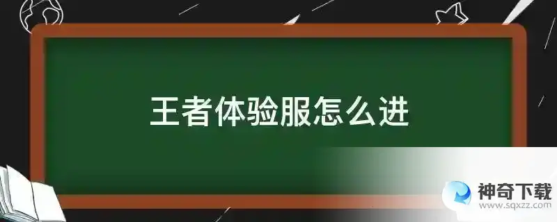 王者体验服怎么进
