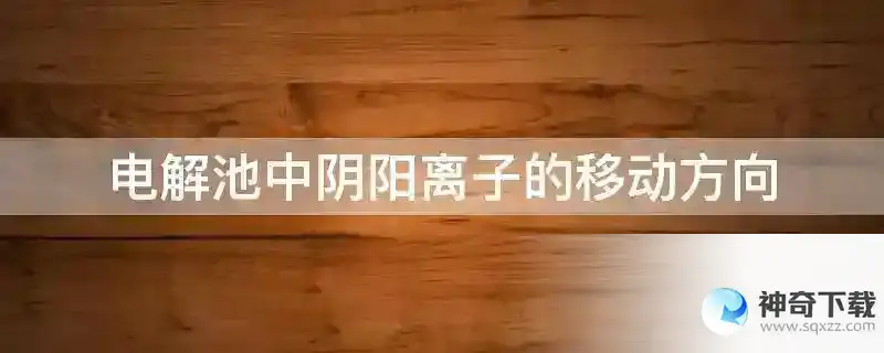 电解池中阴阳离子的移动方向