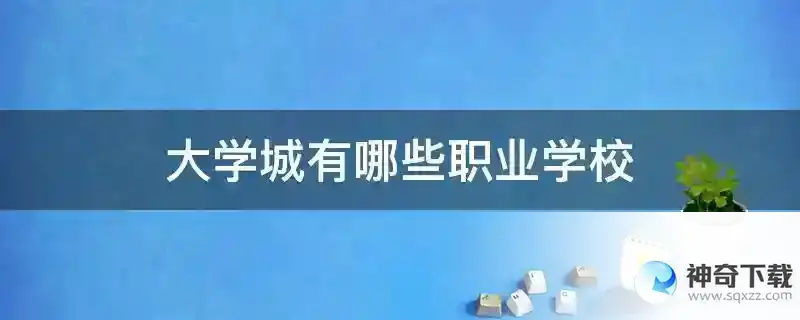 大学城有哪些职业学校