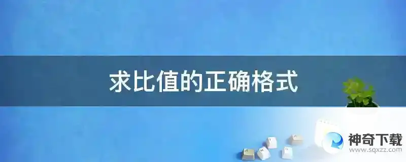 求比值的正确格式