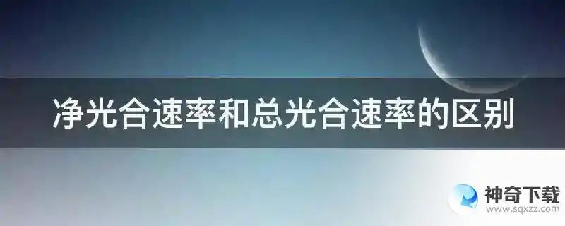 净光合速率和总光合速率的区别