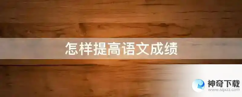 怎样提高语文成绩