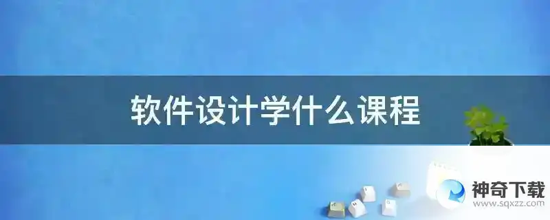软件设计学什么课程