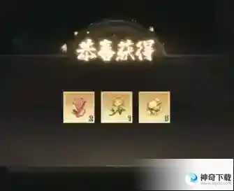 新不良人手游兑换码在哪输入