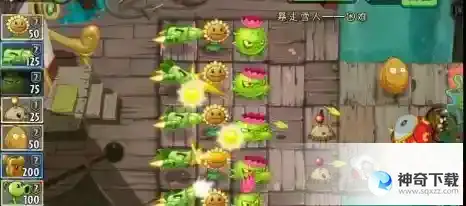 植物大战僵尸雪人僵尸怎么打