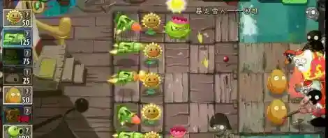 植物大战僵尸雪人僵尸怎么打