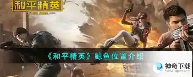 和平精英鲸鱼位置介绍