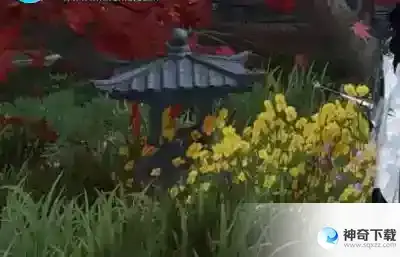 逆水寒萤光点灯通关