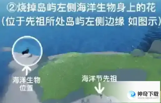光遇海洋节任务清理圣岛被污染的漩涡流程