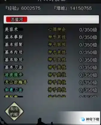 放置江湖武功详细攻略