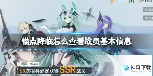 锚点降临怎么查看战员基本信息 战员基本信息介绍
