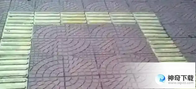 蚂蚁庄园今日正确答案是什么谢谢  支付宝蚂蚁庄园今天正确答案