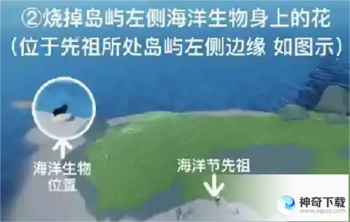 光遇清理圣岛被污染的漩涡怎么做 清理圣岛被污染的旋涡任务攻略