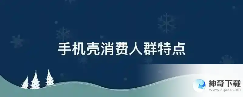 手机壳消费人群特点