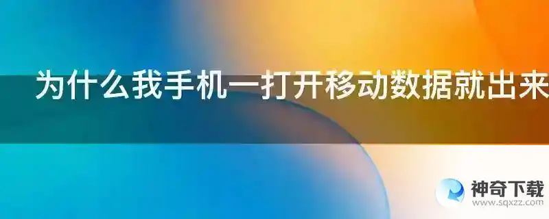 为什么我手机一打开移动数据就出来授权管理