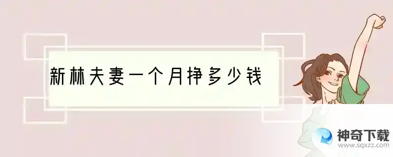 新林夫妻一个月挣多少钱