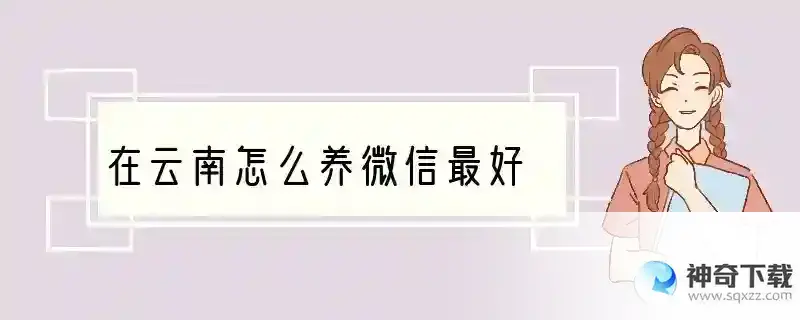 在云南怎么养微信最好