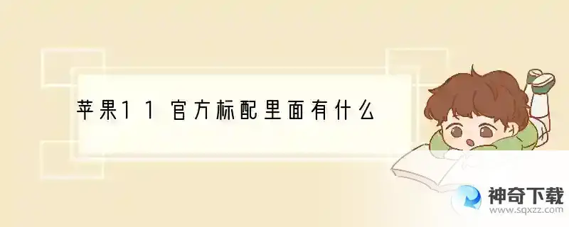 苹果11官方标配里面有什么