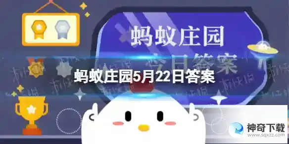 蚂蚁庄园在厦门旅游时 在厦门旅游能品尝到沙茶面