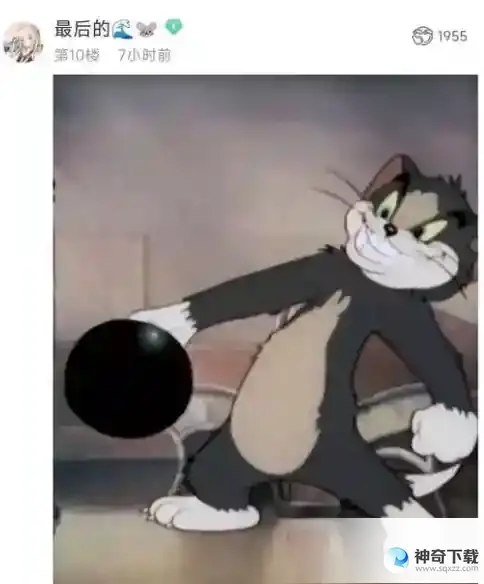 猫鼠队人工跑图 猫鼠队novelai吧