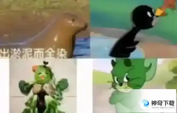 猫鼠队表情包 猫鼠队有哪些有趣的梗图