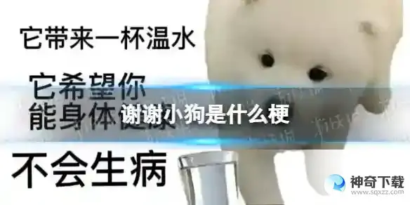 谢谢小狗是什么梗 快说谢谢小狗是什么意思