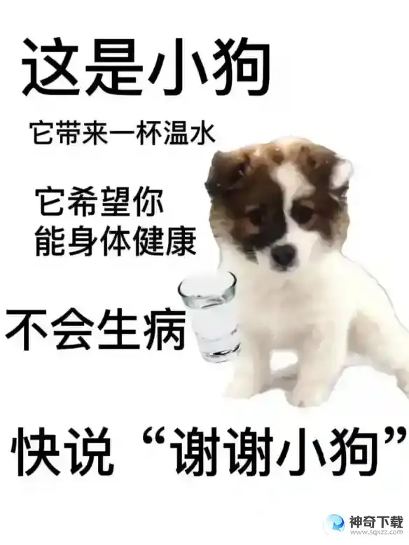 谢谢小狗是什么梗 快说谢谢小狗是什么意思