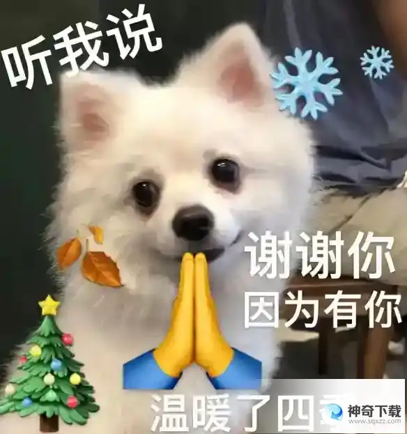 谢谢小狗是什么梗 快说谢谢小狗是什么意思