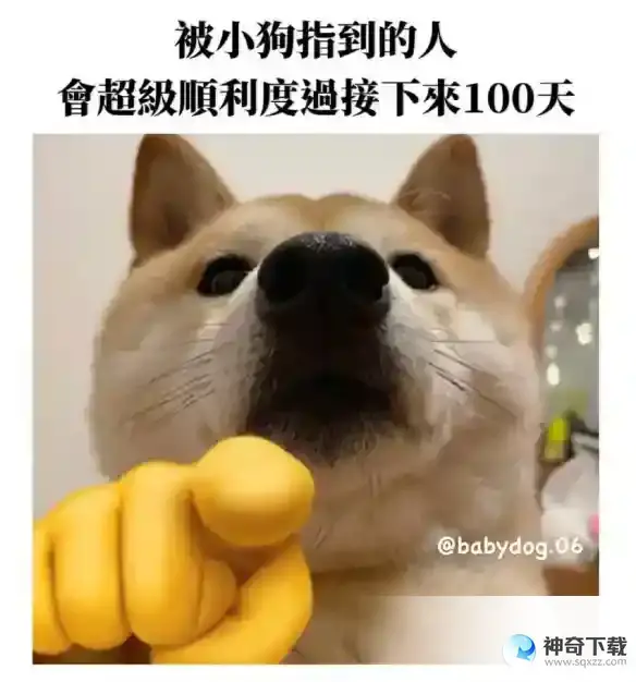 谢谢小狗是什么梗 快说谢谢小狗是什么意思