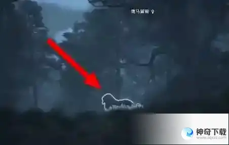 霍格沃茨之遗如何抓动物？霍格沃茨之遗抓动物的玩法攻略