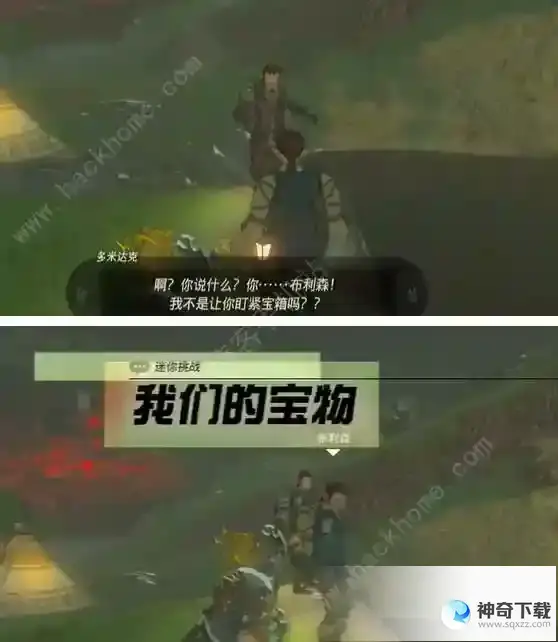 王国之泪我们的宝物任务怎么做